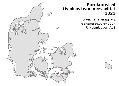 Hylobius transversovittatus - udbredelseskort