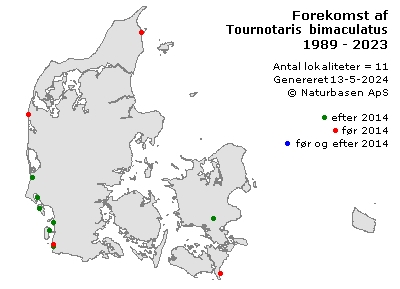 Tournotaris bimaculatus - udbredelseskort