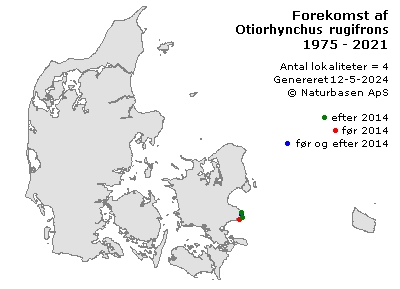 Otiorhynchus rugifrons - udbredelseskort