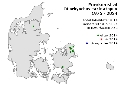 Otiorhynchus carinatopunctatus - udbredelseskort