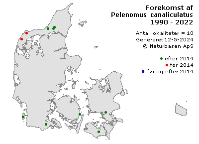Pelenomus canaliculatus - udbredelseskort