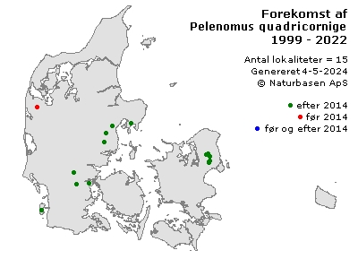 Pelenomus quadricorniger - udbredelseskort