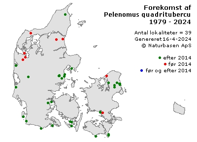 Pelenomus quadrituberculatus - udbredelseskort