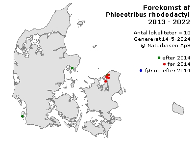 Phloeotribus rhododactylus - udbredelseskort