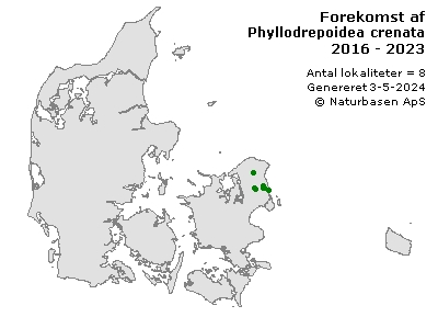 Phyllodrepoidea crenata - udbredelseskort