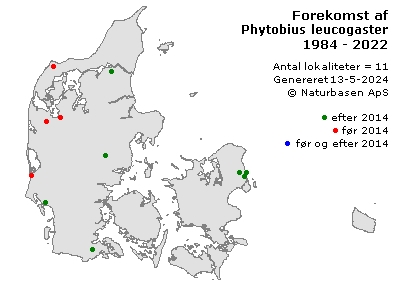 Phytobius leucogaster - udbredelseskort