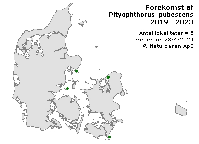 Pityophthorus pubescens - udbredelseskort