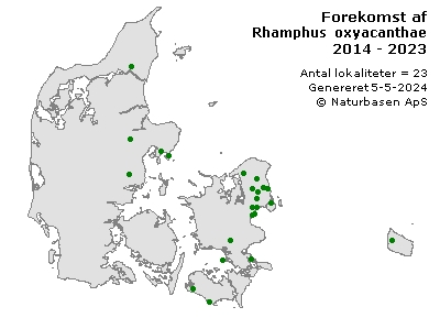 Rhamphus oxyacanthae - udbredelseskort