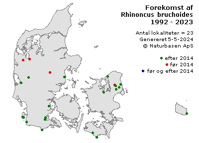 Rhinoncus bruchoides - udbredelseskort