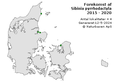 Sibinia pyrrhodactyla - udbredelseskort
