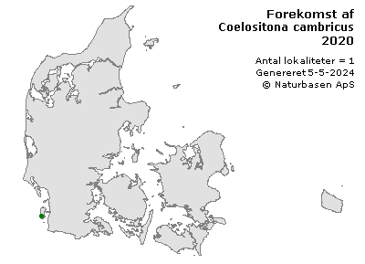 Coelositona cambricus - udbredelseskort