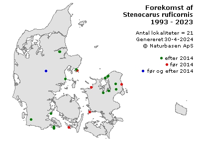 Stenocarus ruficornis - udbredelseskort