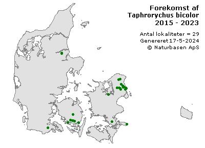 Taphrorychus bicolor - udbredelseskort