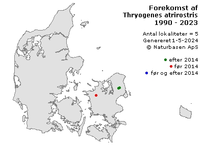 Thryogenes atrirostris - udbredelseskort