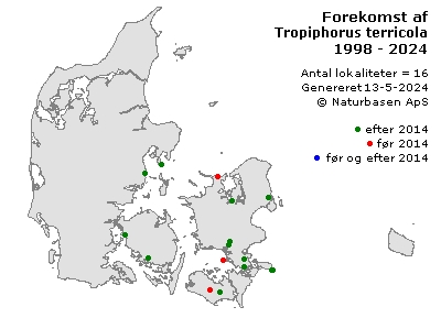Tropiphorus terricola - udbredelseskort