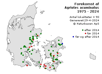Agriotes acuminatus - udbredelseskort