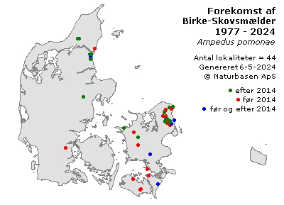 Birke-Skovsmælder - udbredelseskort