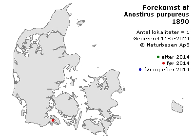 Anostirus purpureus - udbredelseskort