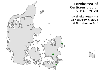 Corticeus bicolor - udbredelseskort