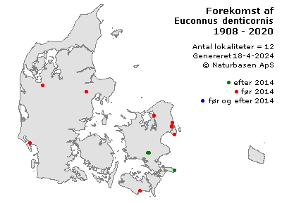 Euconnus denticornis - udbredelseskort