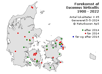 Euconnus hirticollis - udbredelseskort