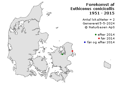 Euthiconus conicicollis - udbredelseskort