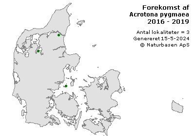 Acrotona pygmaea - udbredelseskort