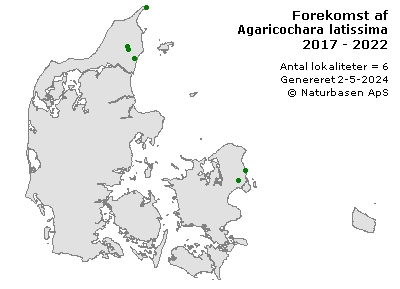 Agaricochara latissima - udbredelseskort
