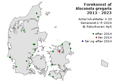Aloconota gregaria - udbredelseskort