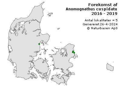 Anomognathus cuspidatus - udbredelseskort