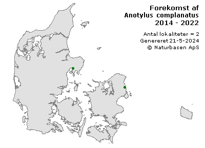 Anotylus complanatus - udbredelseskort