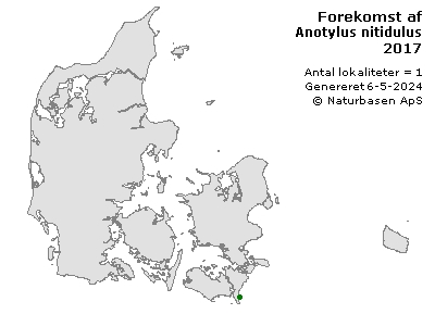 Anotylus nitidulus - udbredelseskort