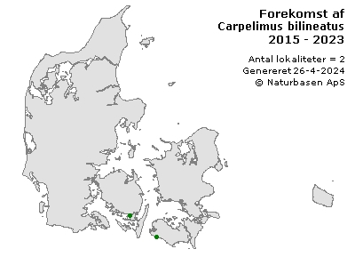 Carpelimus bilineatus - udbredelseskort