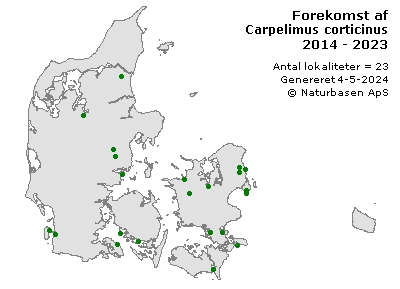 Carpelimus corticinus - udbredelseskort