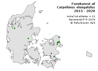 Carpelimus elongatulus - udbredelseskort