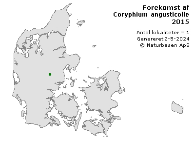 Coryphium angusticolle - udbredelseskort