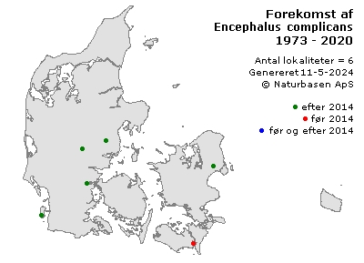 Encephalus complicans - udbredelseskort