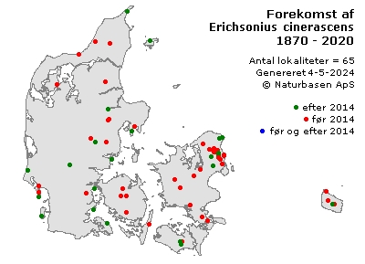 Erichsonius cinerascens - udbredelseskort