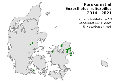 Euaesthetus ruficapillus - udbredelseskort