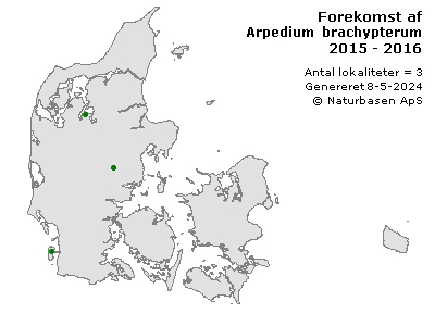 Arpedium brachypterum - udbredelseskort