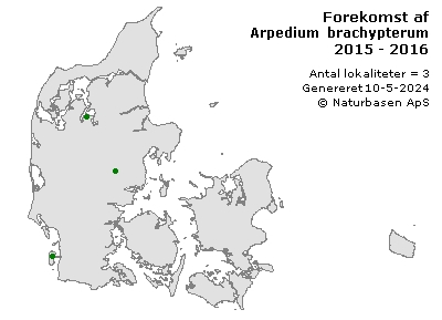 Arpedium brachypterum - udbredelseskort