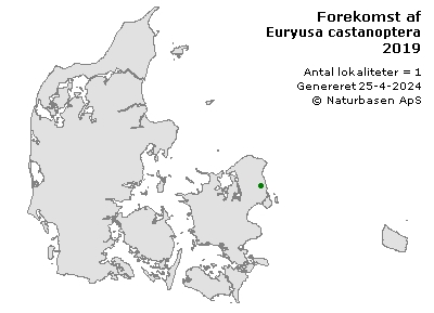 Euryusa castanoptera - udbredelseskort