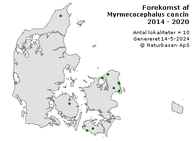 Myrmecocephalus concinnus - udbredelseskort