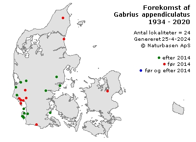Gabrius appendiculatus - udbredelseskort