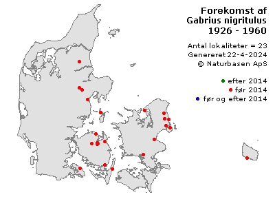 Gabrius nigritulus - udbredelseskort