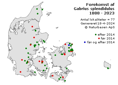Gabrius splendidulus - udbredelseskort