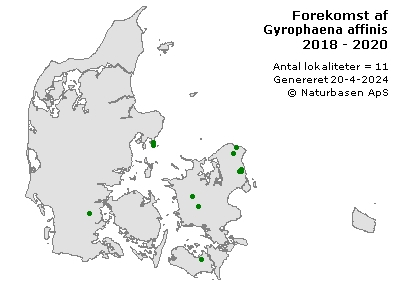 Gyrophaena affinis - udbredelseskort