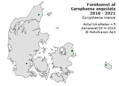 Gyrophaena angustata - udbredelseskort