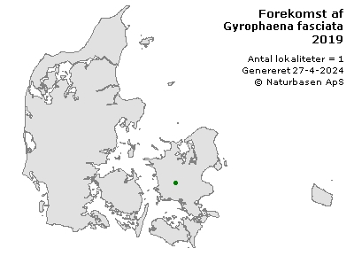 Gyrophaena fasciata - udbredelseskort