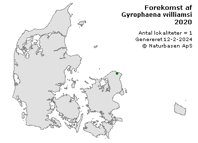 Gyrophaena williamsi - udbredelseskort